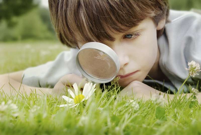 boy & daisy