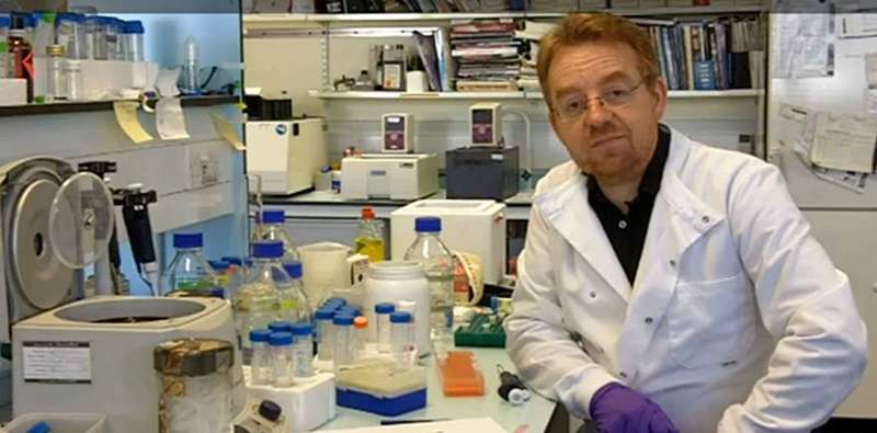 What is it like to be a scientist?
