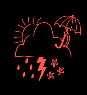 Meteorologist