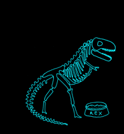 Palaeontology