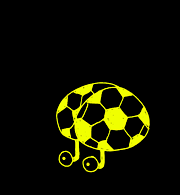 Sports Psychologist