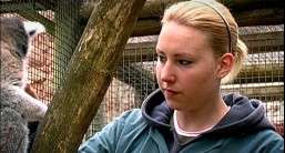 Animal care