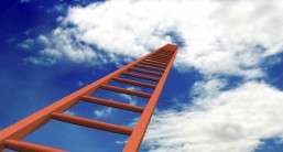 Next Steps