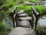 Bridge over stream