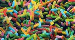 Microbiome