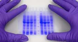 Cracking the whip on rogue genes