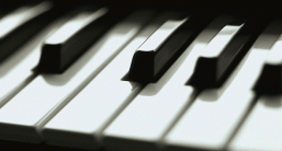 Entertainment & Culture