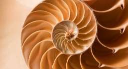 What’s in a maths-based degree?