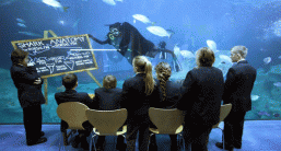 Caroline – National Marine Aquarium