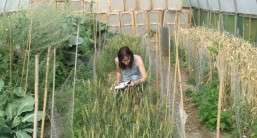 Laetitia – Research Assistant