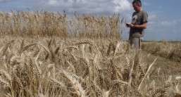 Out in the field with Simon