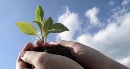2. Environmental science