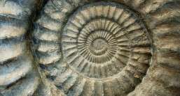 4. Natural and man-made materials